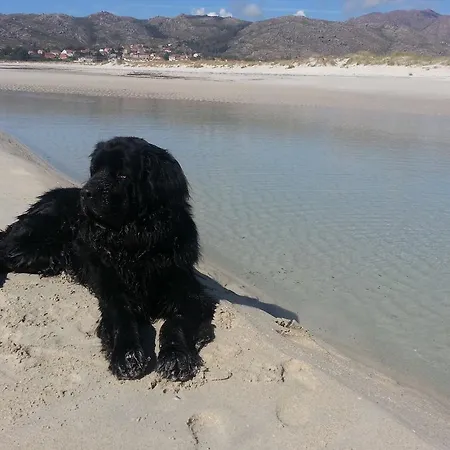 Casa rural San Cibran Loureda